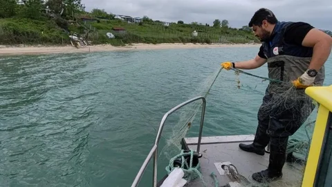 Sinop'ta Kaçak Avcılığa Son Verildi