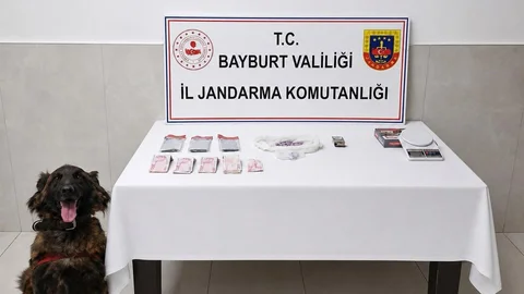 İstanbul'dan Bayburt'a Uyuşturucu Operasyonu