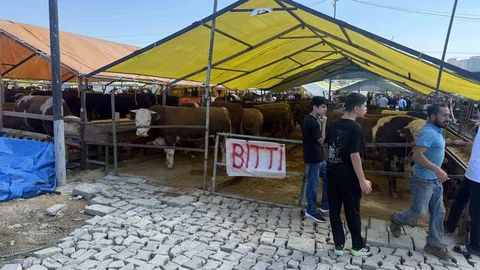 Avcılar’da Kurbanlıklar Tükendi