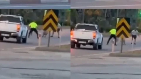 Kurbanlık Koyun Kaçtı, Polis Yakaladı