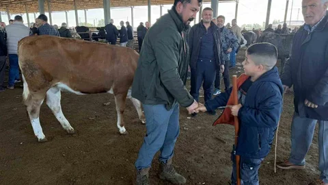 Iğdır'da Kurban Pazarlıkları Devam Ediyor