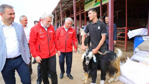 Kahramanmaraş'ta Kurban Bayramı Hazırlıkları Tamamlandı