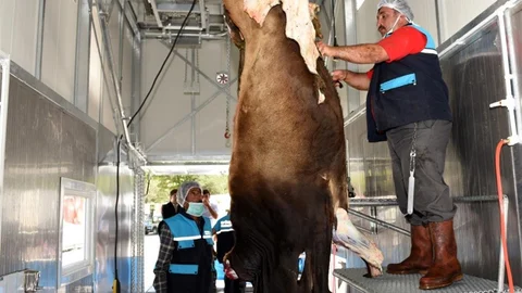 Kurban Kesim Kurallarına Uymayanlar Cezalandırılacak