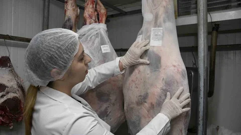 Aydın'da Kurban Kesimi İçin Hijyen Uyarısı