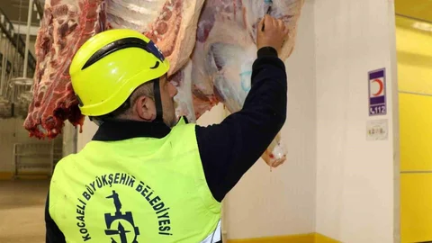 Kocaeli'de Kistli Organ Uyarısı