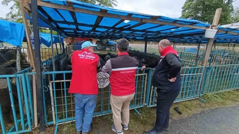 Tekirdağ'da Kurbanlık Hayvan Denetimi