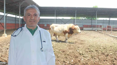 Düzce'de Kurban Kesimi İçin Uyarılar