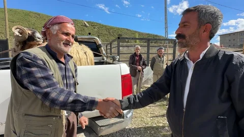 Yüksekova'da Kurban Bayramı Hareketliliği