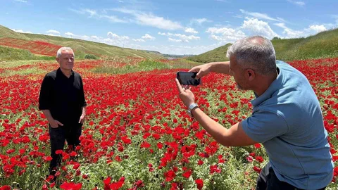 Adıyaman'daki Gelincik Tarlasının Güzelliği