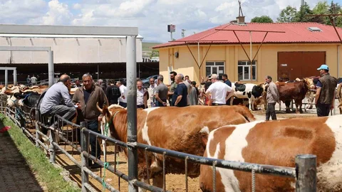 Elazığ Hayvan Pazarı'nda Hareketlilik Artıyor