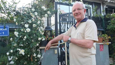 Burhaniye Ören'de Gül Güzelliği Başladı