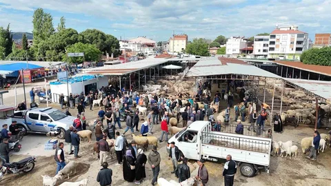 Havran'da Kurban Bayramı Yoğunluğu