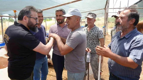 Antalya'da Kurban Pazarında Hareketlilik