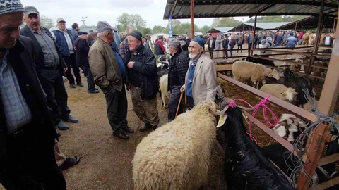 Bolu'da Kurban Pazarı Hareketlendi