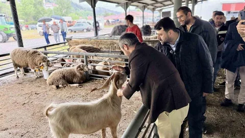 Karabük'te Kurban Satış Alanı Ziyareti