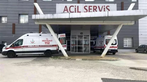 Yaşlı Çift Arı Saldırısına Uğradı