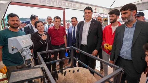 Şehitkamil'de Kurban Bayramı Hazırlıkları Tamamlandı