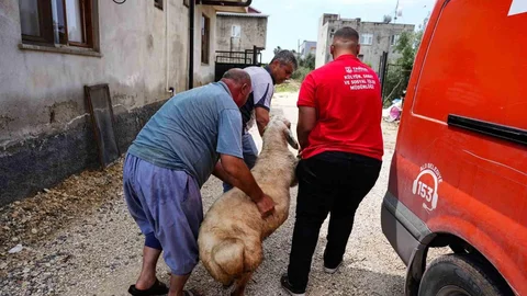 Tarsus'ta Şehit Ailelerine Bayram Desteği