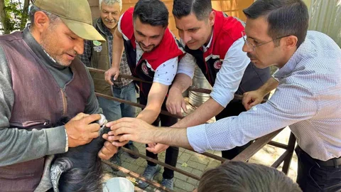 Kurban Bayramı Öncesi Bozdoğan'da Denetim Yapıldı