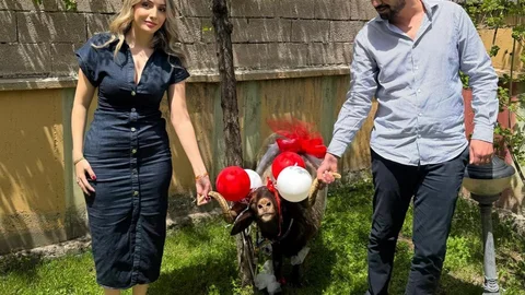 Erzurum'da Nişan Koçu Geleneği Devam Ediyor