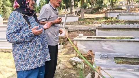 Kurban Bayramı'nda Mezarlık Ziyareti