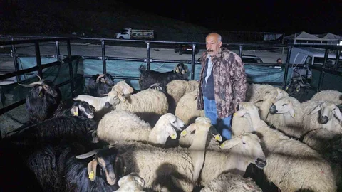 Elazığ'da Kurban Pazarı Yoğun Gece Mesaisi