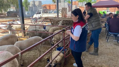 Aydın'da Kurban Bayramı Denetimleri Başladı