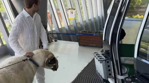 Bursa'da Koçla Teleferik Yolculuğu