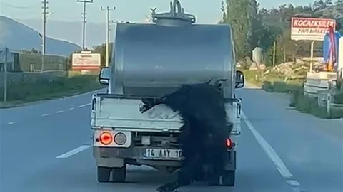 Bolu'da Sürücüye 31 Bin Lira Ceza Verildi