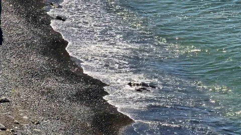 Zonguldak'ta Denizdeki Cisim Kaya Çıktı