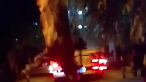 İzmir'de Düşen Dana Kurtarıldı
