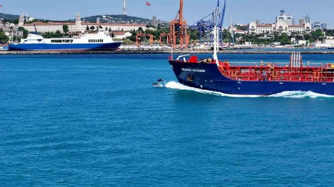 İstanbul Boğazı’nda Yunus Sürüsü Görüntüleri