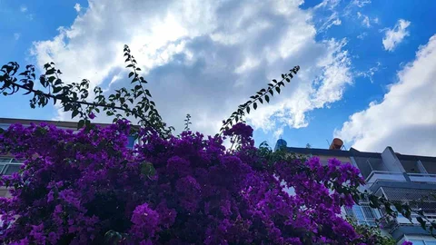 Adana'da Yağmurlu Günler Sona Erecek