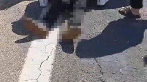 Şanlıurfa'da Kamyonet Devrildi