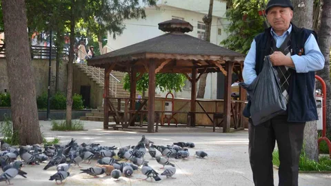 Bilecik'te Kuşlara Bayram İlginçliği