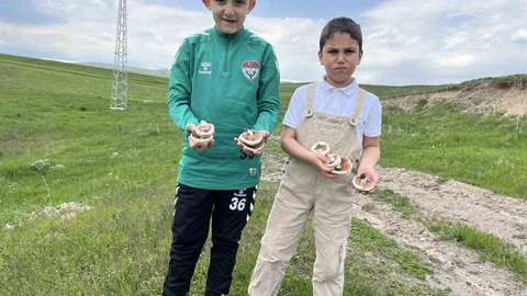 Kars'ta Çocuklar Mantar Topladı