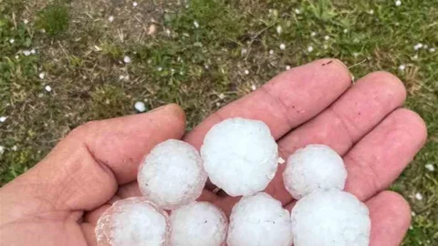 Sivas'ta Dolu Yağışı Ağaçları Etkiledi