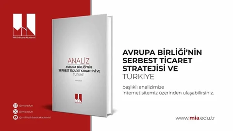 Milli İstihbarat Akademisi'nden AB Analizi
