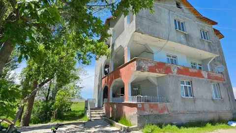 Muş'ta Yılanlar Aileyi Rahatsız Ediyor