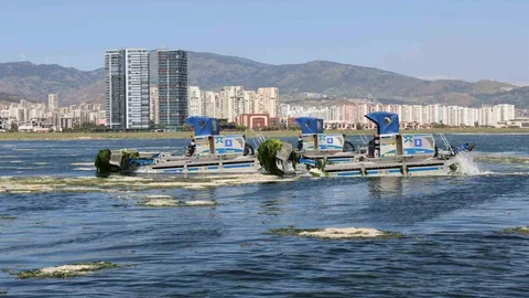 İzmir Körfezi'nde Temizlik Çalışmaları Başlatıldı