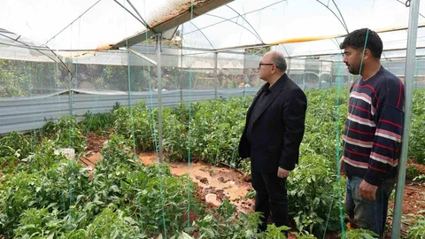 Mersin'de Dolu Yağışı Tarım Alanlarına Zarar Verdi