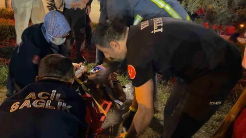 Van'da Trafik Kazası Gerçekleşti