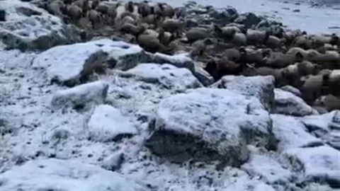 Kars'ta Mayıs Ayında Kar Yağışı Beklenmedik Sürpriz Oldu