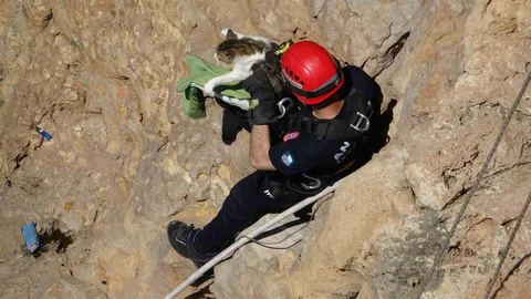Antalya’da Falezlerde Mahsur Kalan Kedi Kurtarıldı