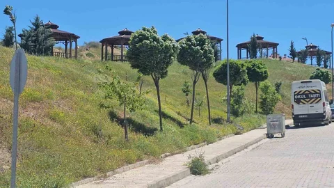 Elazığ'da Şiddetli Rüzgar Etkili Oldu
