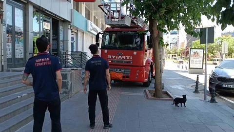 Batman'da Vefakar Kedi İkiliğiyle Kurtarıldı