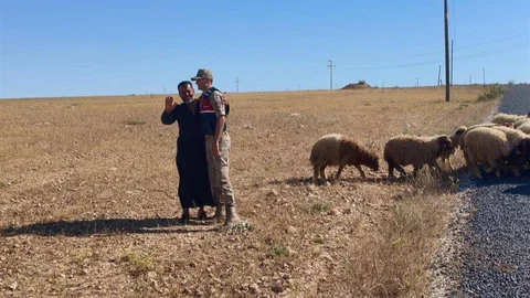 Kaybolan Hayvanlar Jandarma Tarafından Bulundu