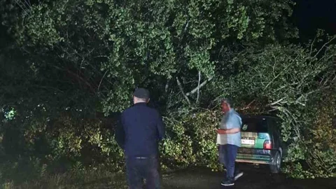 Bartın'da Fırtına Ağaçları Devirdi