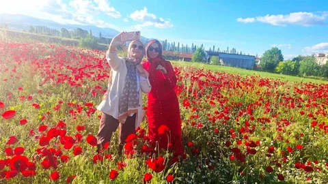Hisarcık'ta Doğa Şöleni Yaşanıyor