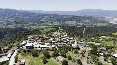 Bursa'da İmece Geleneği Devam Ediyor
